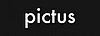 Pictus